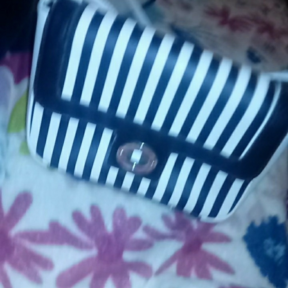 Purses - Picture 3 of 4